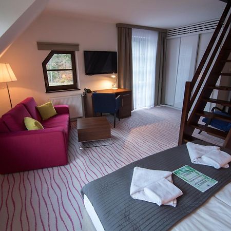 Świeradów-Zdrój Aparthotel Flinski Sport & Spa الغرفة الصورة